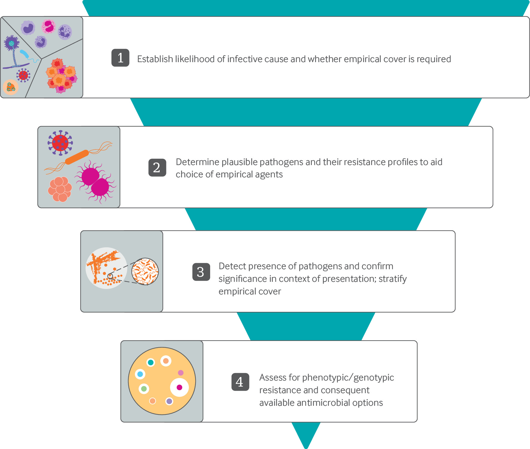 Antimicrobial use and resistance | The BMJ